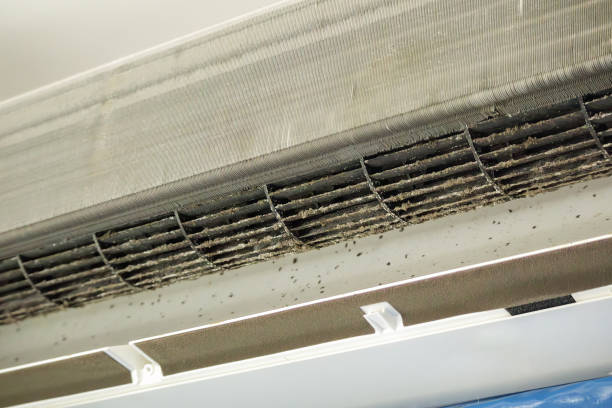 Best Best Air Duct Cleaning Company  in Kinder, LA